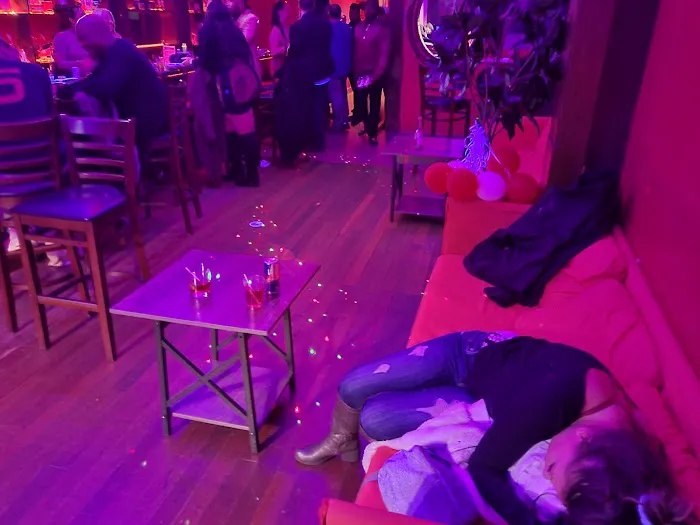 Cat Lounge NYC Picture 4
