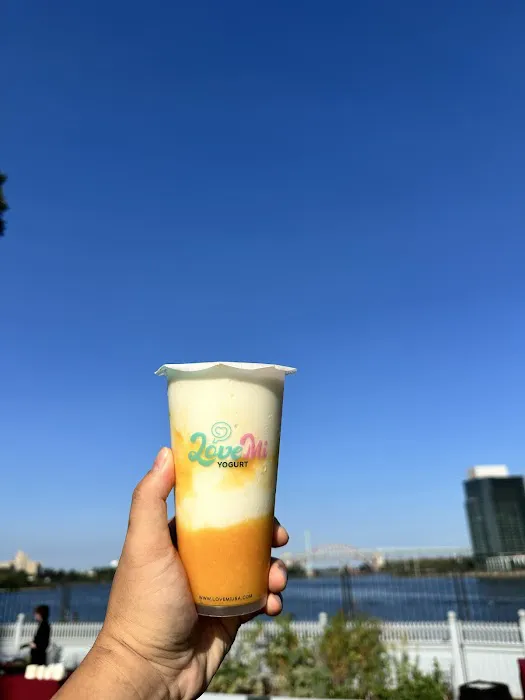 LoveMi Yogurt Picture 4