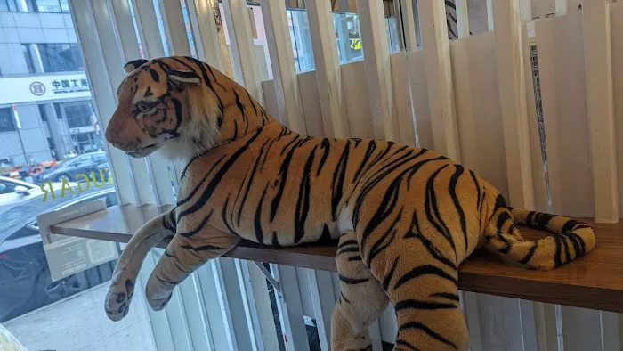 Tiger Sugar Picture 1