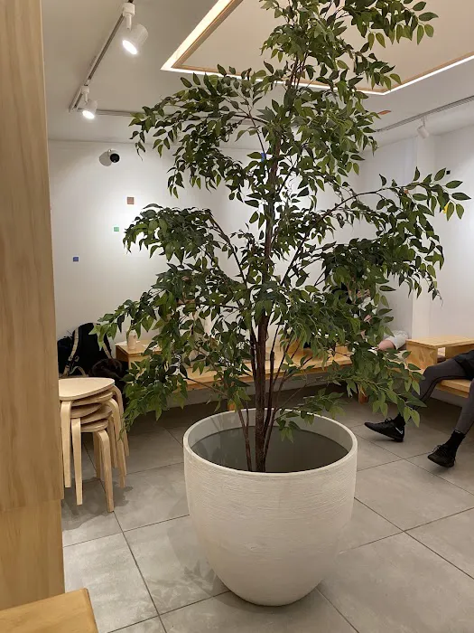 BAO TEA HOUSE Picture 1