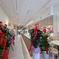 Luna Cafe & Bakery ico