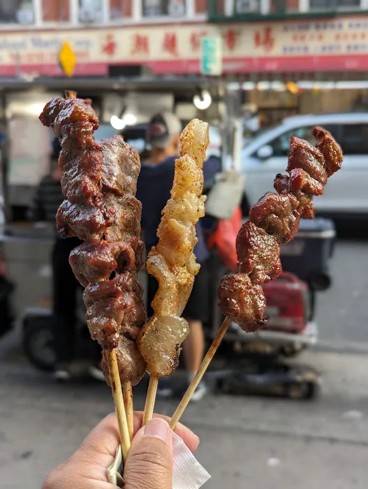 Young Xinjiang BBQ cart Picture 8