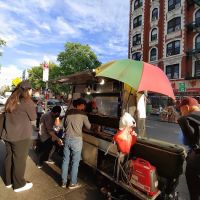 Young Xinjiang BBQ cart ico