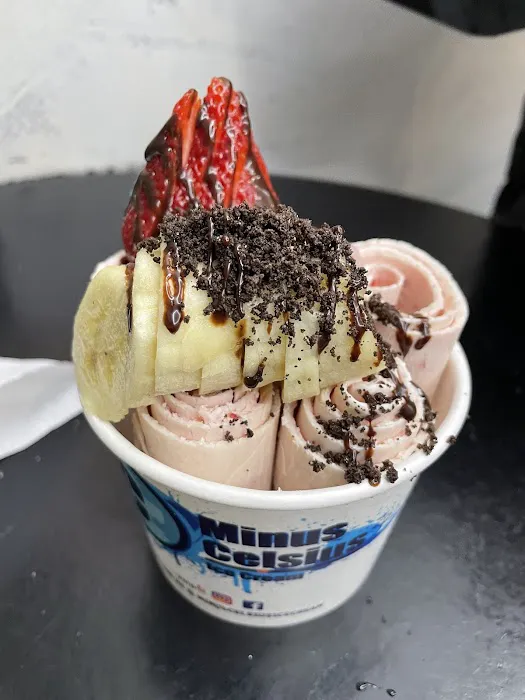 Minus Celsius Ice Cream Picture 4