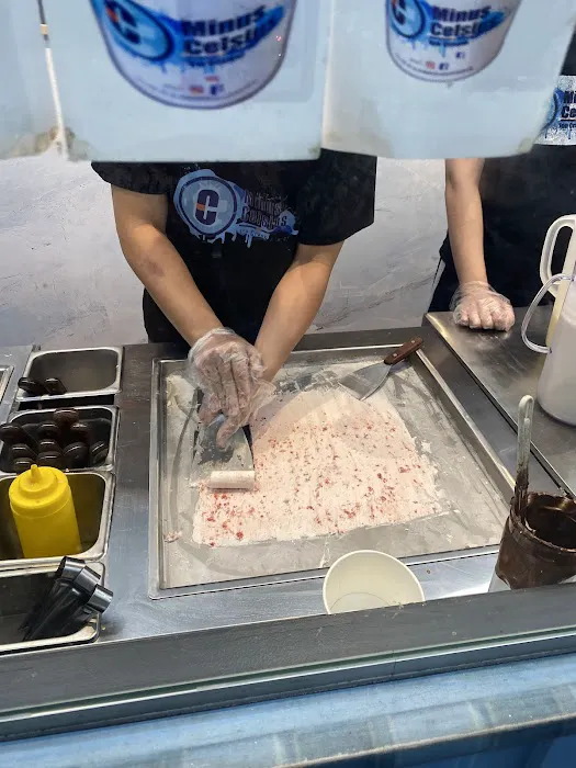 Minus Celsius Ice Cream Picture 3