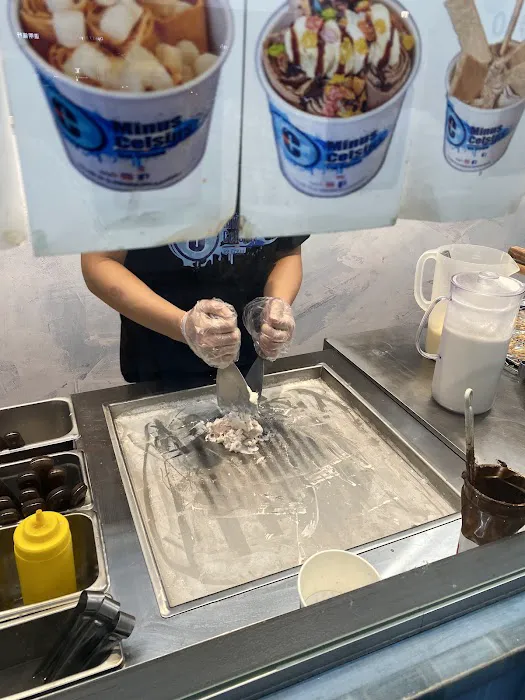 Minus Celsius Ice Cream Picture 1