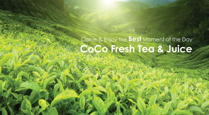 CoCo Fresh Tea & Juice Picture 6