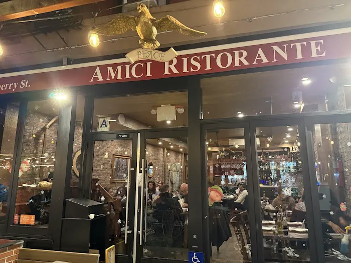 AMICI Picture 6