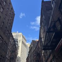 Daisy Dukes Honky Tonk ico