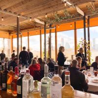 City Vineyard ico