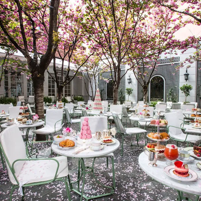 Ladurée Picture 10