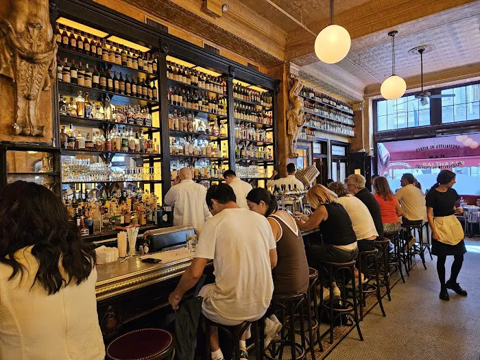 Balthazar Picture 6