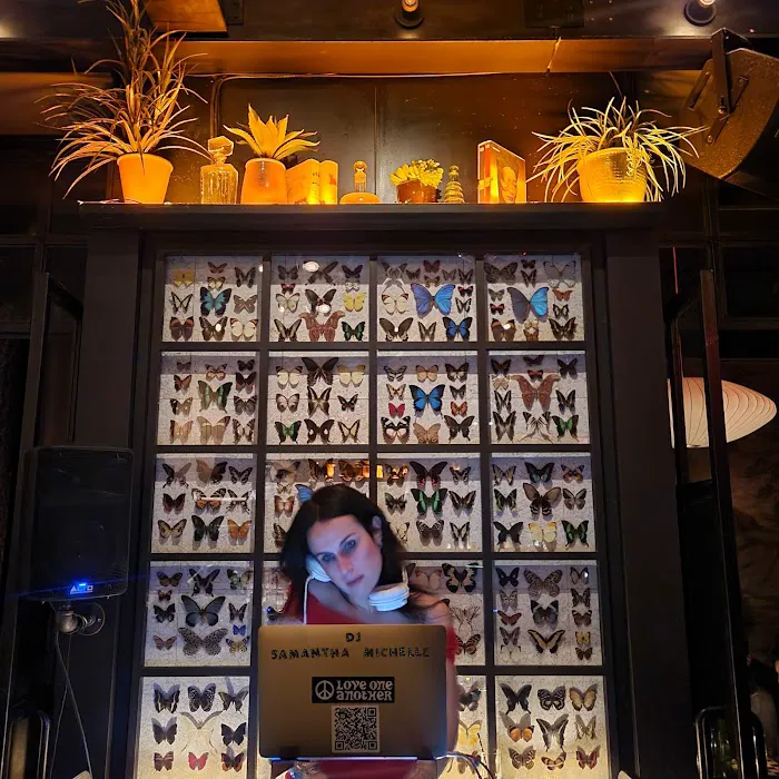 Butterfly Soho Picture 10