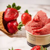 Rivareno Gelato ico