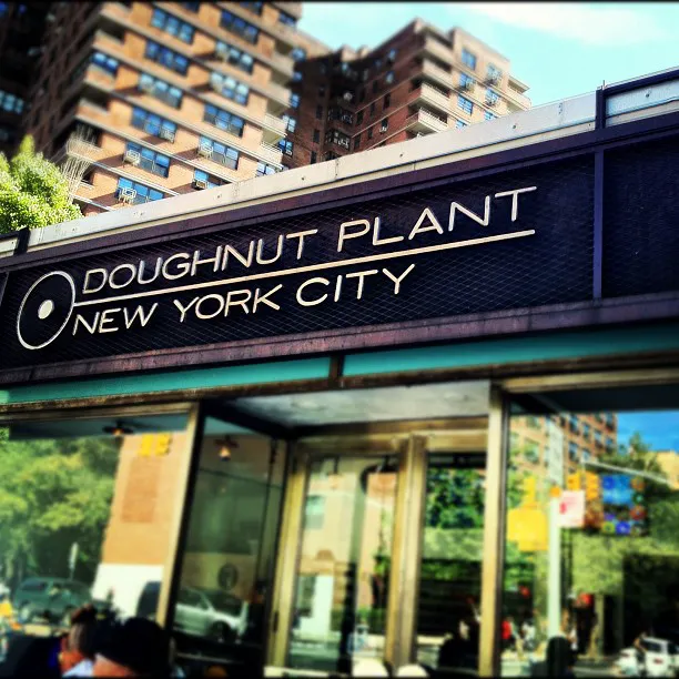 Doughnut Plant Picture 3