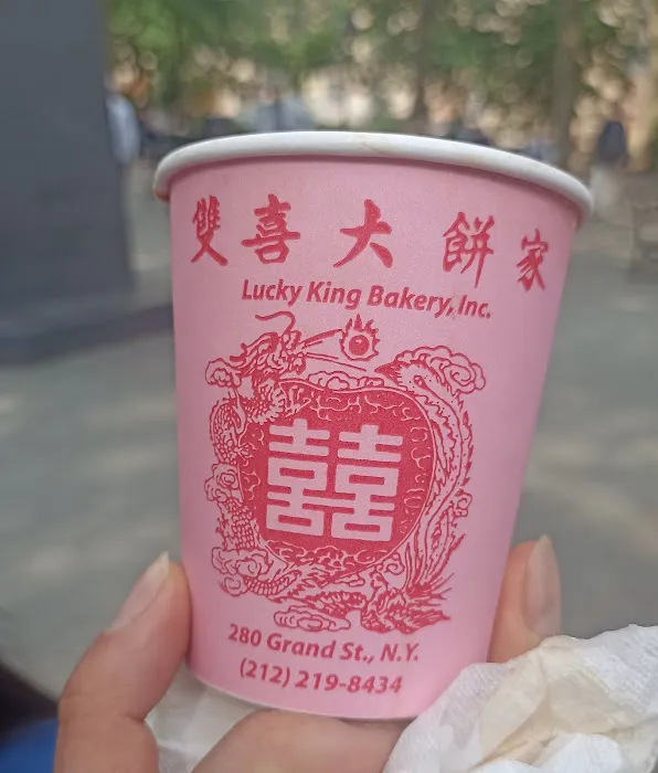 Lucky King Picture 10