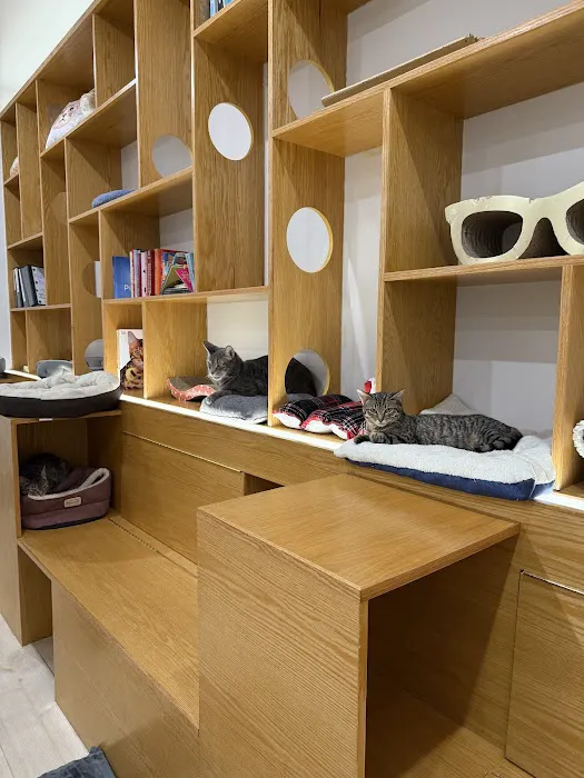 Meow Parlour Picture 10