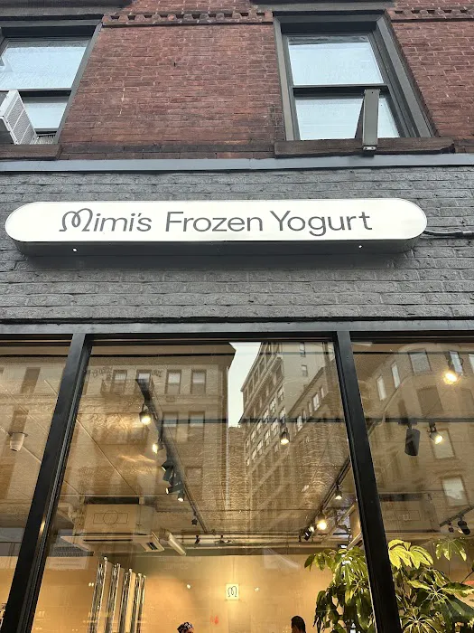 Mimi's Frozen Yogurt Picture 10