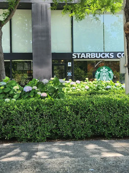 Starbucks Picture 7