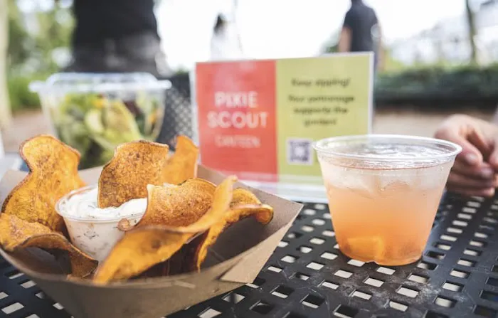 Pixie Scout Canteen Picture 8