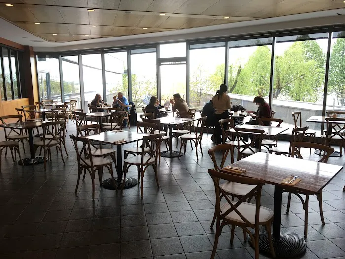 Lox Cafe Picture 5