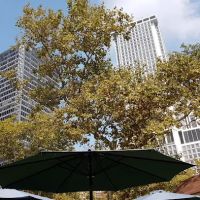 The Beer Garden ico