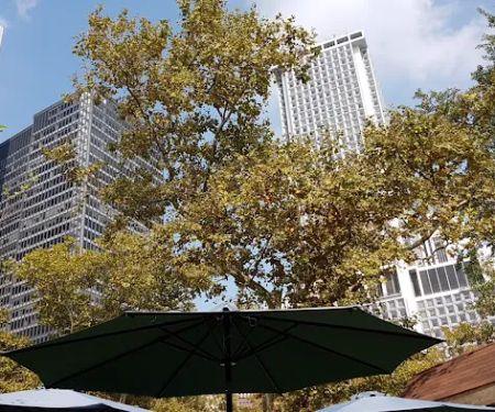 The Beer Garden