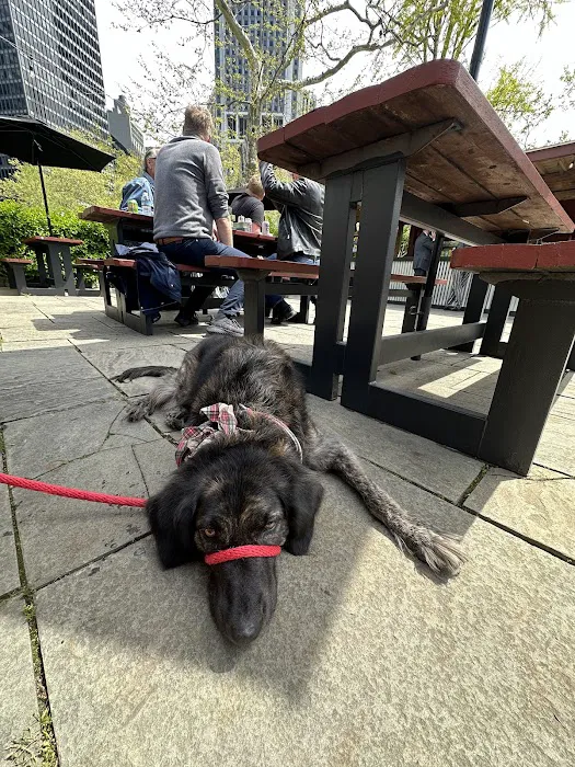The Beer Garden Picture 8
