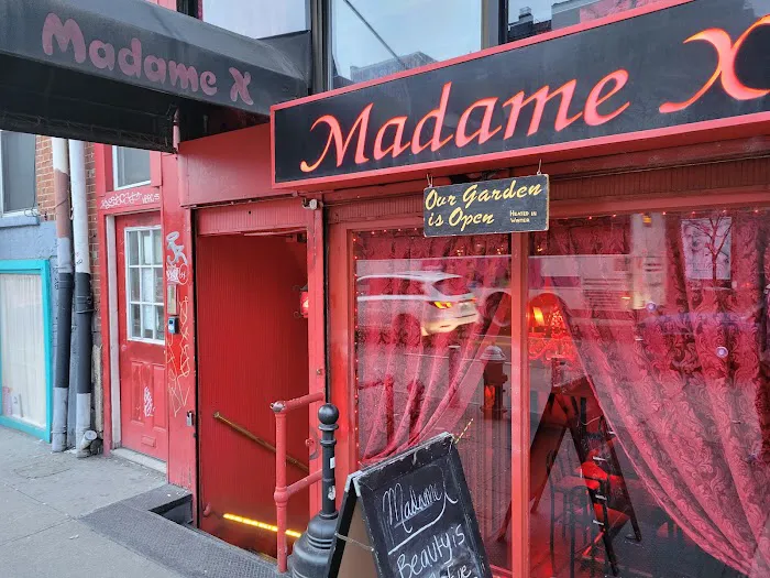 Madame X Picture 7
