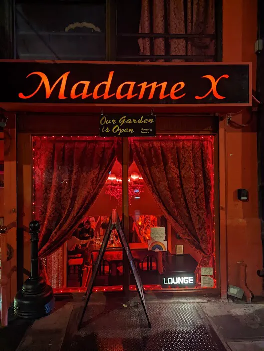 Madame X Picture 6