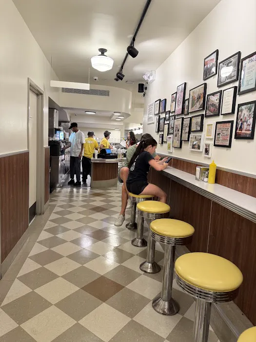 Hamburger America Picture 5