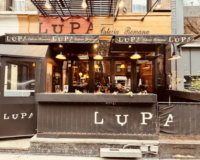 Lupa Picture 8