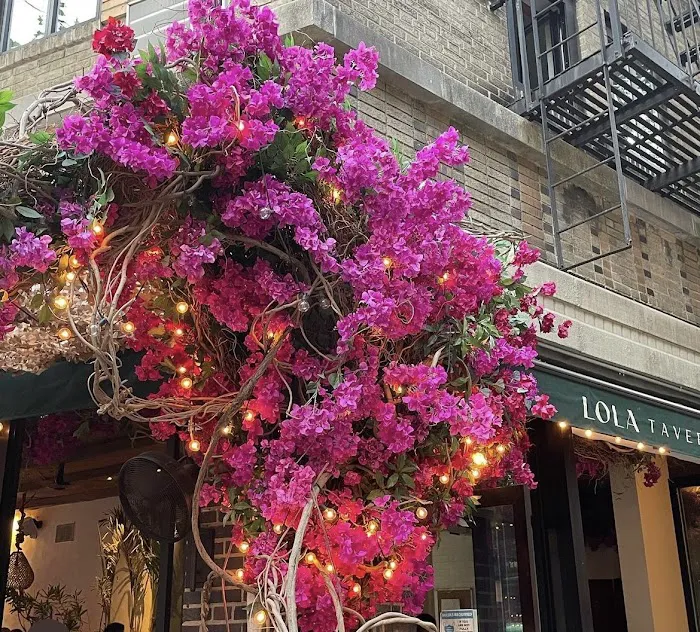Lola Taverna Picture 7