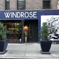 Windrose ico