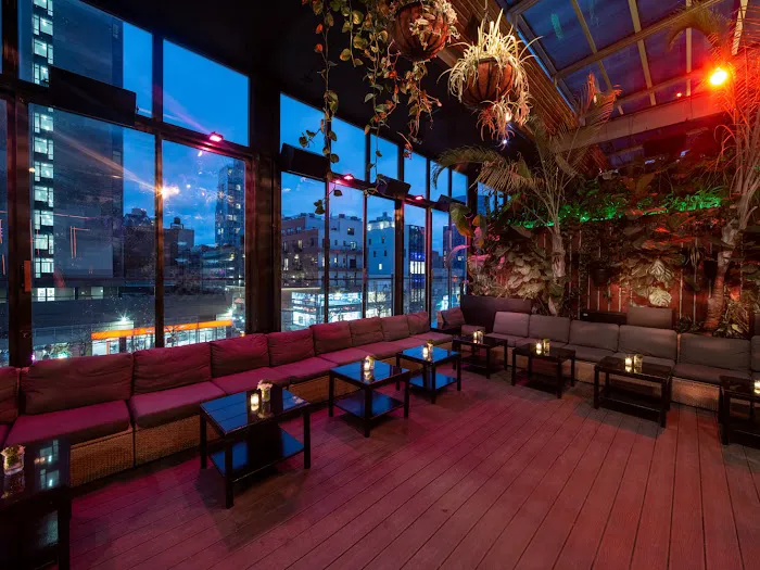 The DL | Best Rooftop Lounge NYC Picture 8