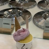 Gelateria Gentile - Nolita ico