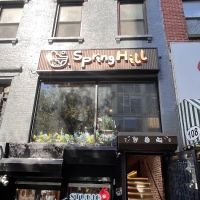 Spring Hill Cafe ico