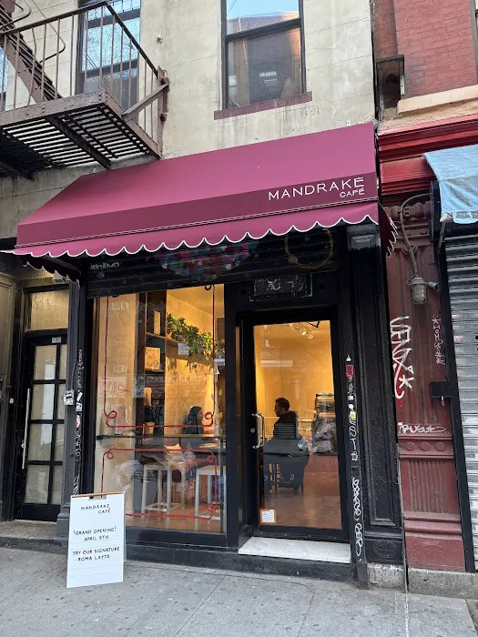 Mandrake Café Picture 10