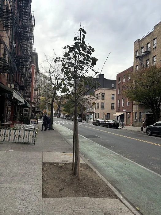The Grey Dog - West Village Picture 2