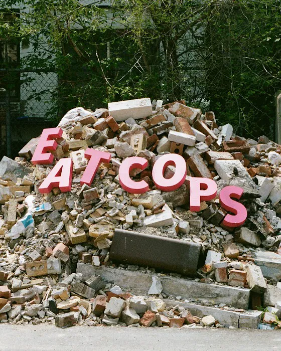 COPS® Picture 3