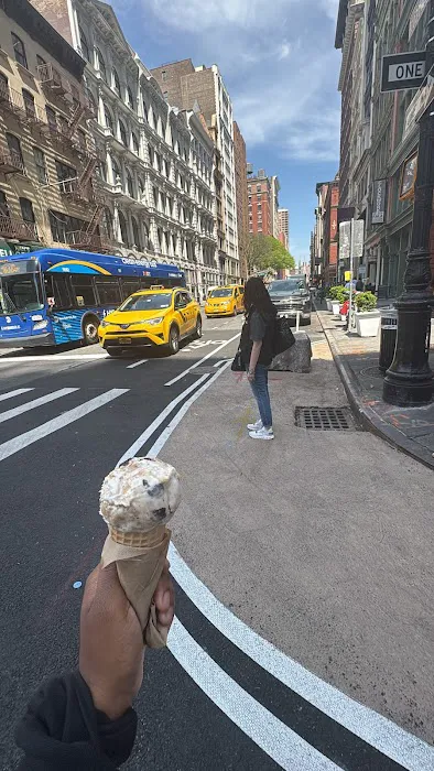 Van Leeuwen Ice Cream Picture 6