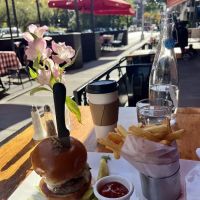 GMT Tavern ico