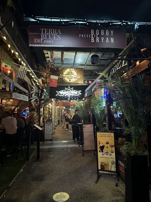 Terra Blues Picture 10