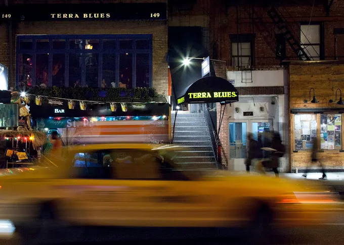 Terra Blues Picture 5