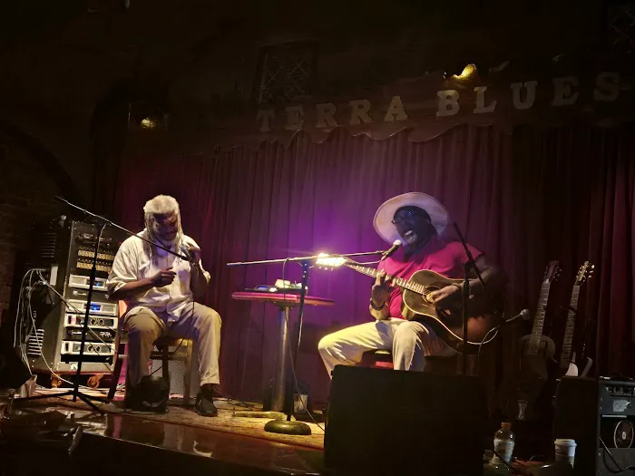 Terra Blues Picture 4