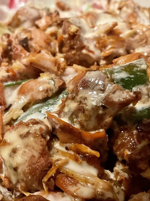 Halal Cart Picture 1