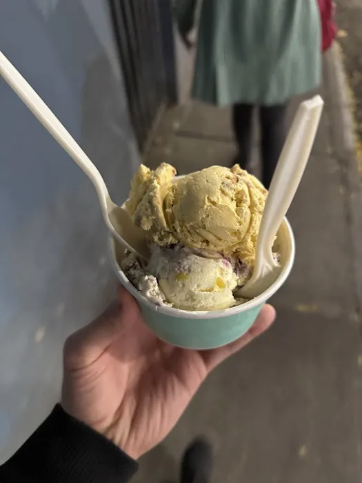 Van Leeuwen Ice Cream Picture 3