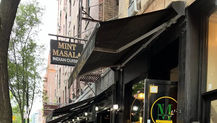 Mint Masala Picture 3