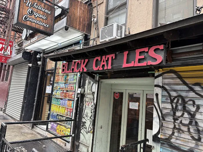 Black Cat LES Picture 10