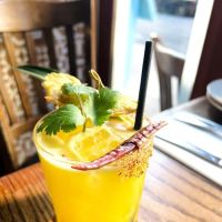 Vallarta Tropical NYC ico